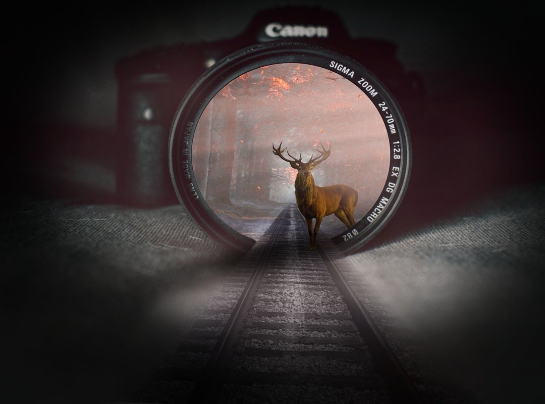 Ylixeko Food Additive Pregnancy